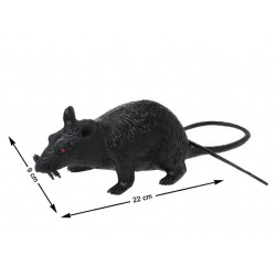 RAT 21x9cm